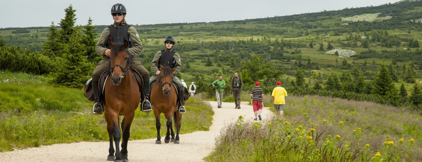 Turisté v Krkonošském národním parku